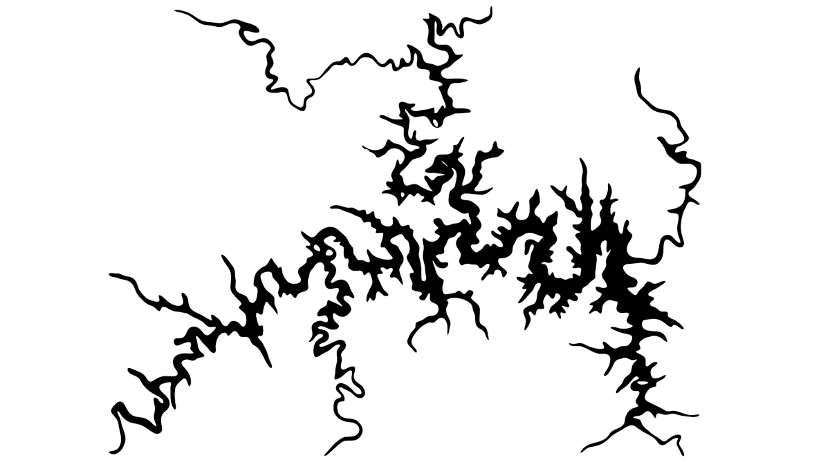 Map-style infographic of Table Rock Lake highlighting flats, coves, and shoreline.