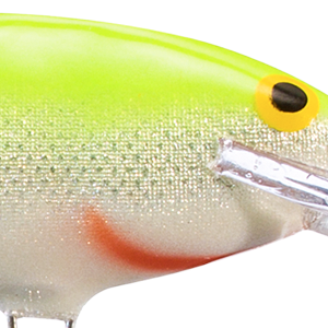 Silver Fluorescent Chartreuse