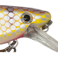 Walleye