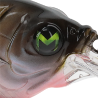 Ghost Gill