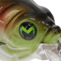 Natural Green Shad