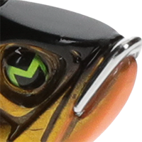 Gold Black Back