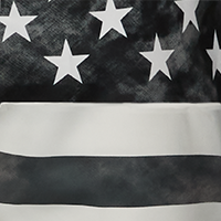 Gray Americana