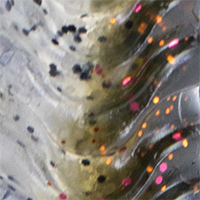 Goby