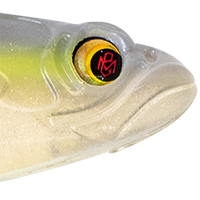 Blueback Herring