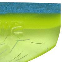 Sexy Smelt