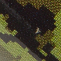 Camo