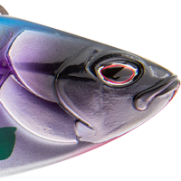 Pink Mackerel