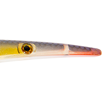 Chartreuse Shad