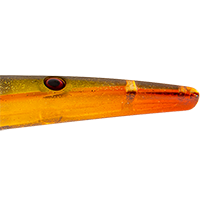 Ghost Gill