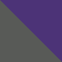 Magnet/Tillandsia Purple