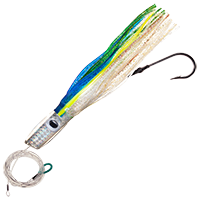 Clear Head-Blue/Green