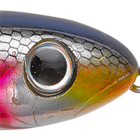 Wounded Shad