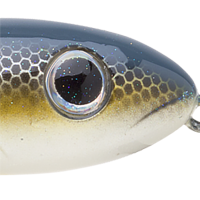 Foxy Shad