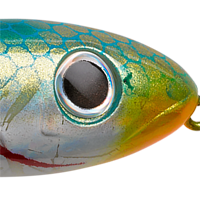 Lake Fork Shad