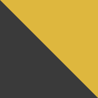 Black Olive/Yellow