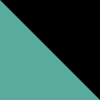 Birdie Green/Black