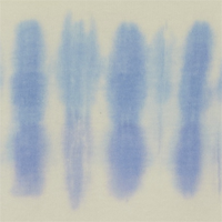 Blue Lavender