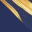 Navy/Gold Tropical