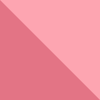 Bittersweet Pink/Posh Pink