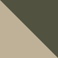 Oyster/Olive