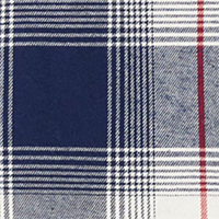 Medieval Blue Plaid
