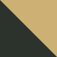 Polished Green On Gold