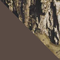 Brown/Mossy Oak Country DNA