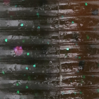 Dark Green Pumpkin/Amber