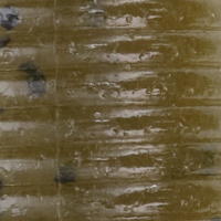 Green Pumpkin/Black Flake