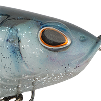 HD Blue Shad