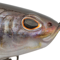 HD Gizzard Shad