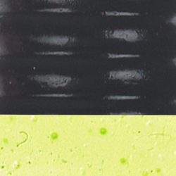 Black Chartreuse Tail