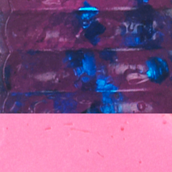 Electric Grape Firetail