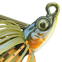 Bluegill Spawn