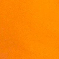 Exotic Orange