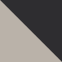 Dark Stone/Shark
