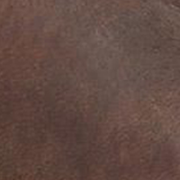 Burly Brown