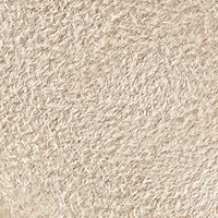 Wheat