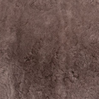 Bark