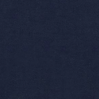 Detroit Blue