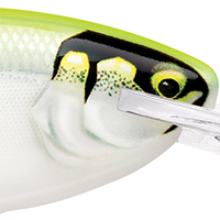 Gilded Chartreuse UV