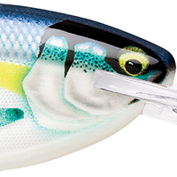 Gilded Helsinki Shad