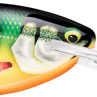 Gilded Perch