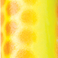 Orange Chartreuse