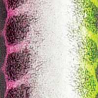 Black Chartreuse Pink