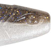 Gizzard Shad
