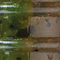 Green Pumpkin/Watermelon