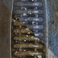 Green Pumpkin/Blue Pearl