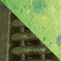 Green Pumpkin/Chartreuse Peppr